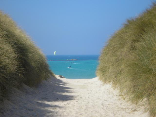 Delphine